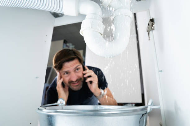 Best Sprinkler Systems  in Viroqua, WI
